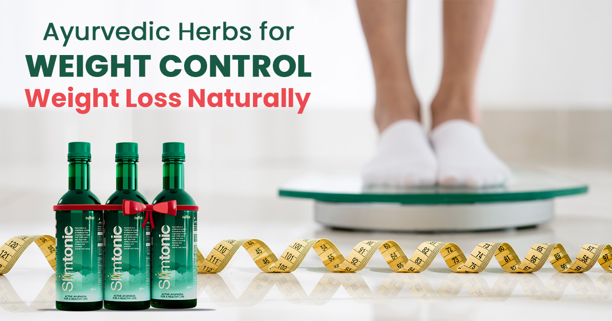 Top 7 Ayurvedic Herbs for Weight Control That Actually Work